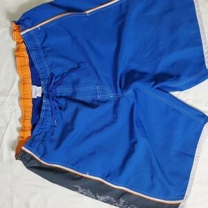 Men's Speedo Swim Trunks